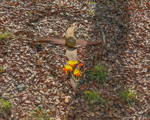 A small memorial on woodland ground: a cross made from two weathered pieces of wood, with a rounded stone at the center and a bunch of bright orange flowers laid below it, surrounded by fallen leaves at the base of a tree.